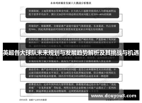 英超各大球队未来规划与发展趋势解析及其挑战与机遇